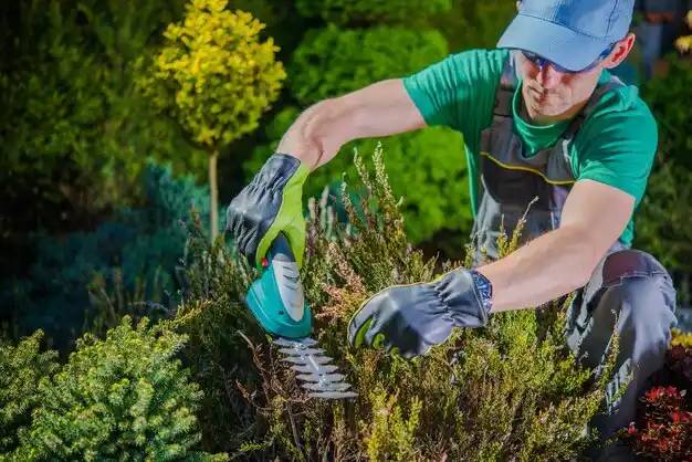 landscaping services Hesperia